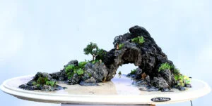 Non bộ trung – Cửa không